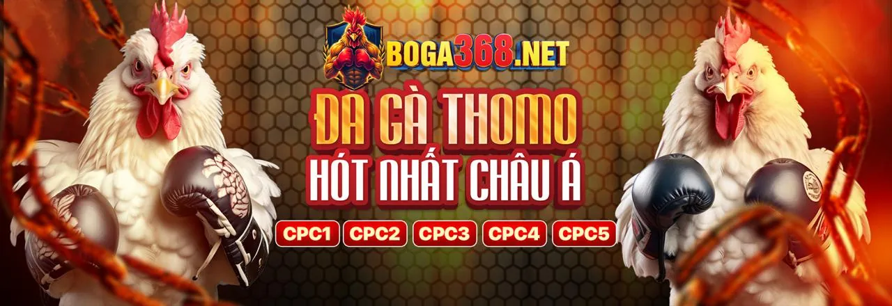 Chương trình hoàn trả và VIP 8ket